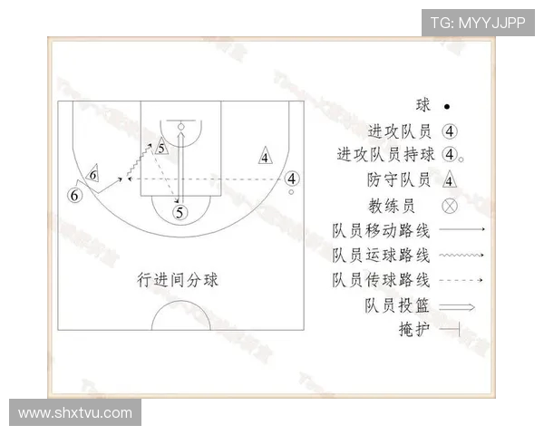 篮球魅力全解析：从技巧战术到文化影响的深度剖析