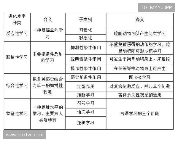 网球技术与心理训练的完美结合：提升竞技水平与比赛表现的综合策略