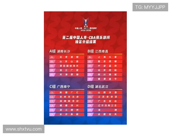 浙江广厦新赛季阵容深度解析球队核心竞争力与未来发展趋势展望