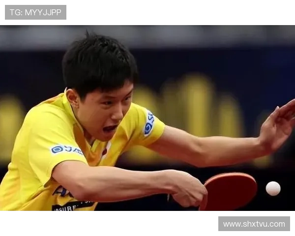 深入探讨北京乒乓球队比赛经验与表现的统计分析与研究成果