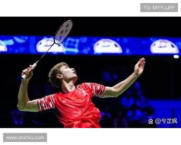 丹麦与法国的精彩对决全程回顾尽在优酷平台免费观看