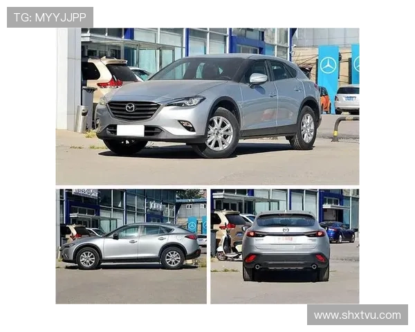 富山松鸡与横滨海盗的精彩对决谁能在赛场上笑到最后